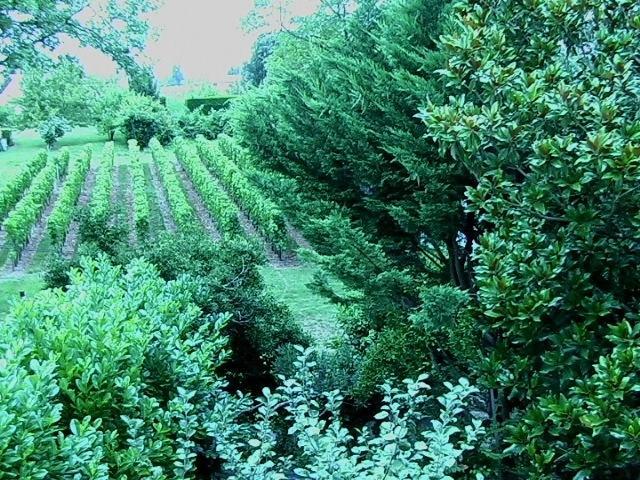 مبيت وإفطار Les Id De Saint Emilion المظهر الخارجي الصورة